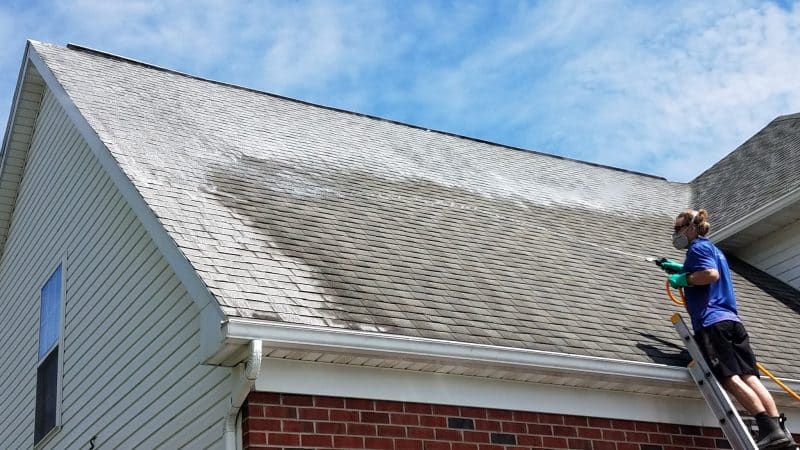 roof cleaning companies in reading pa